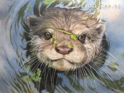 Frank CP e-Packet & Prep Video